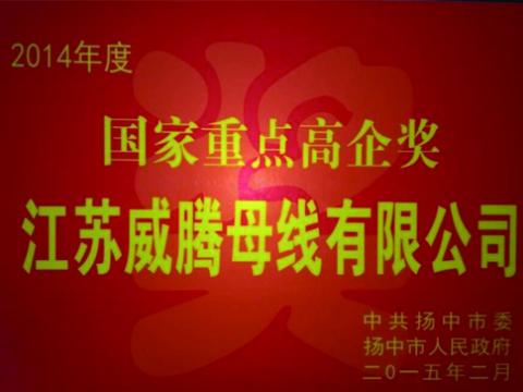 UG环球母线公司获“国度沉点高企”奖